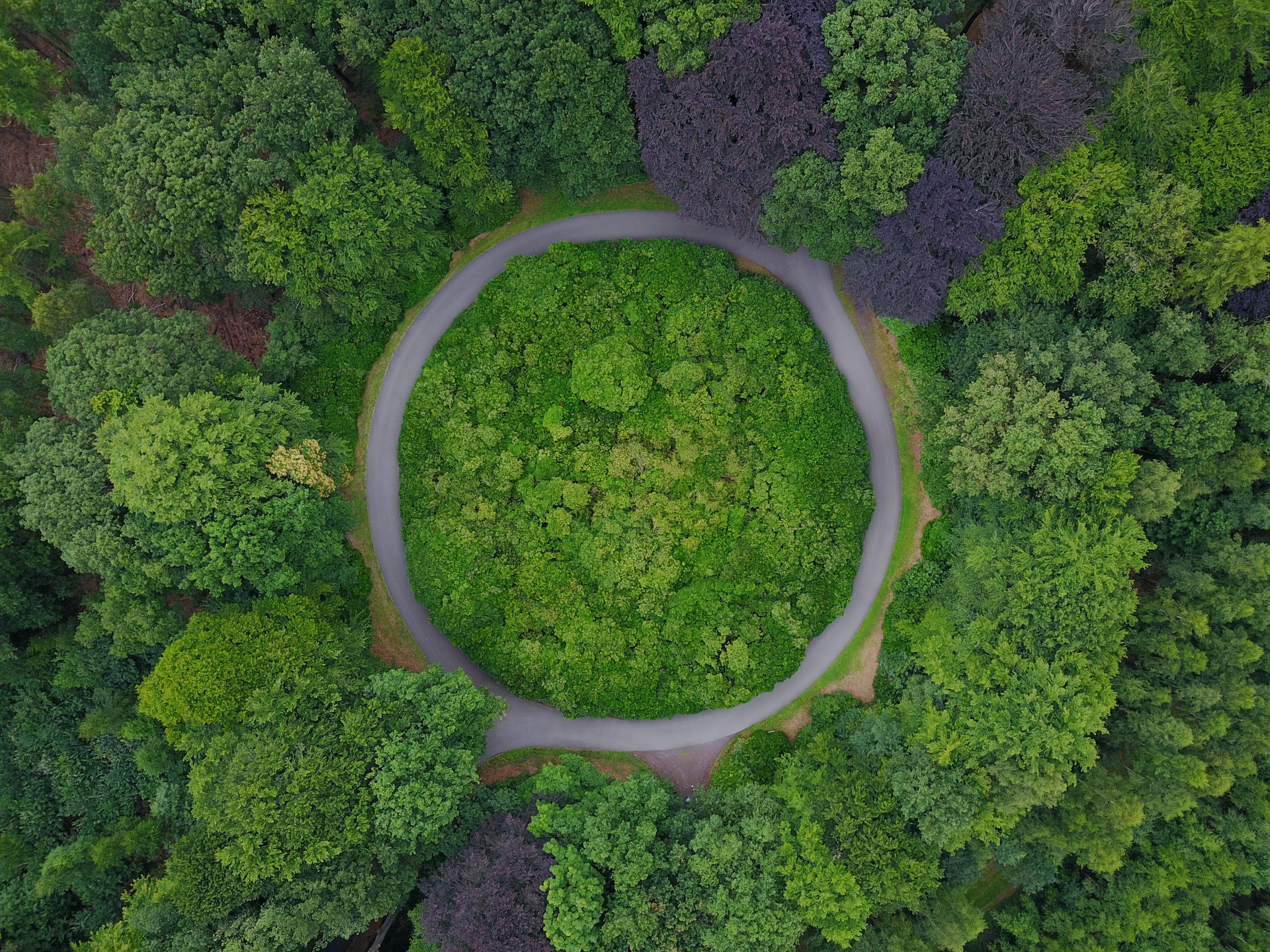 Circular economy approach at Camozzi Group