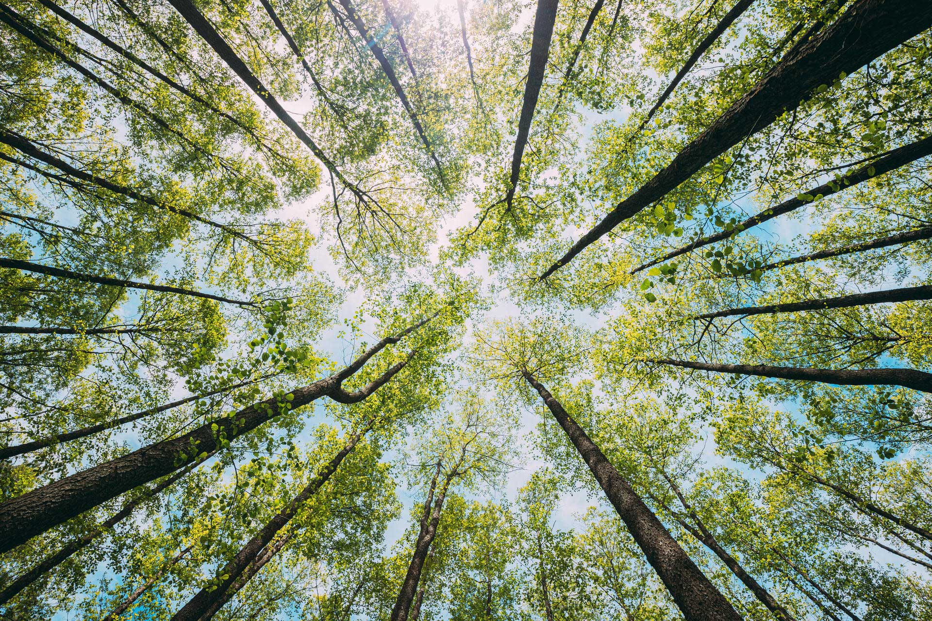 Camozzi Group sustainability approach based on ESG strategy