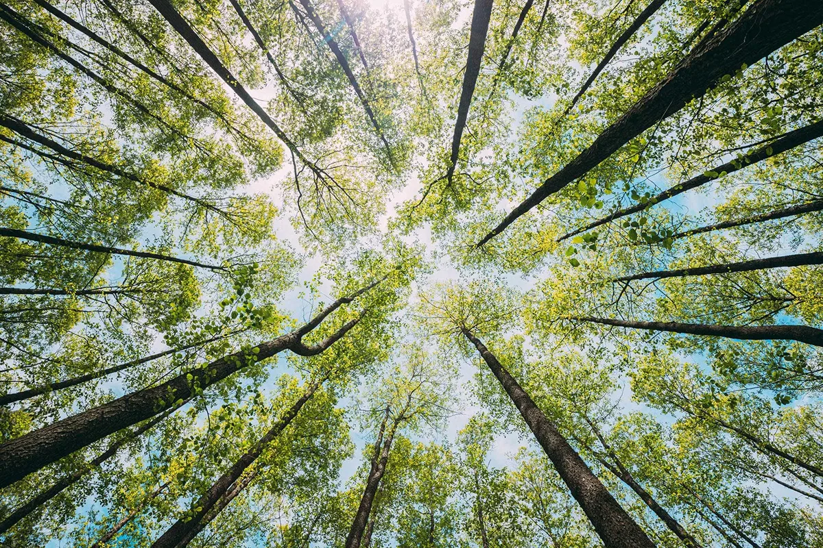 Approccio alla sostenibilità del Gruppo Camozzi basato su strategia ESG
