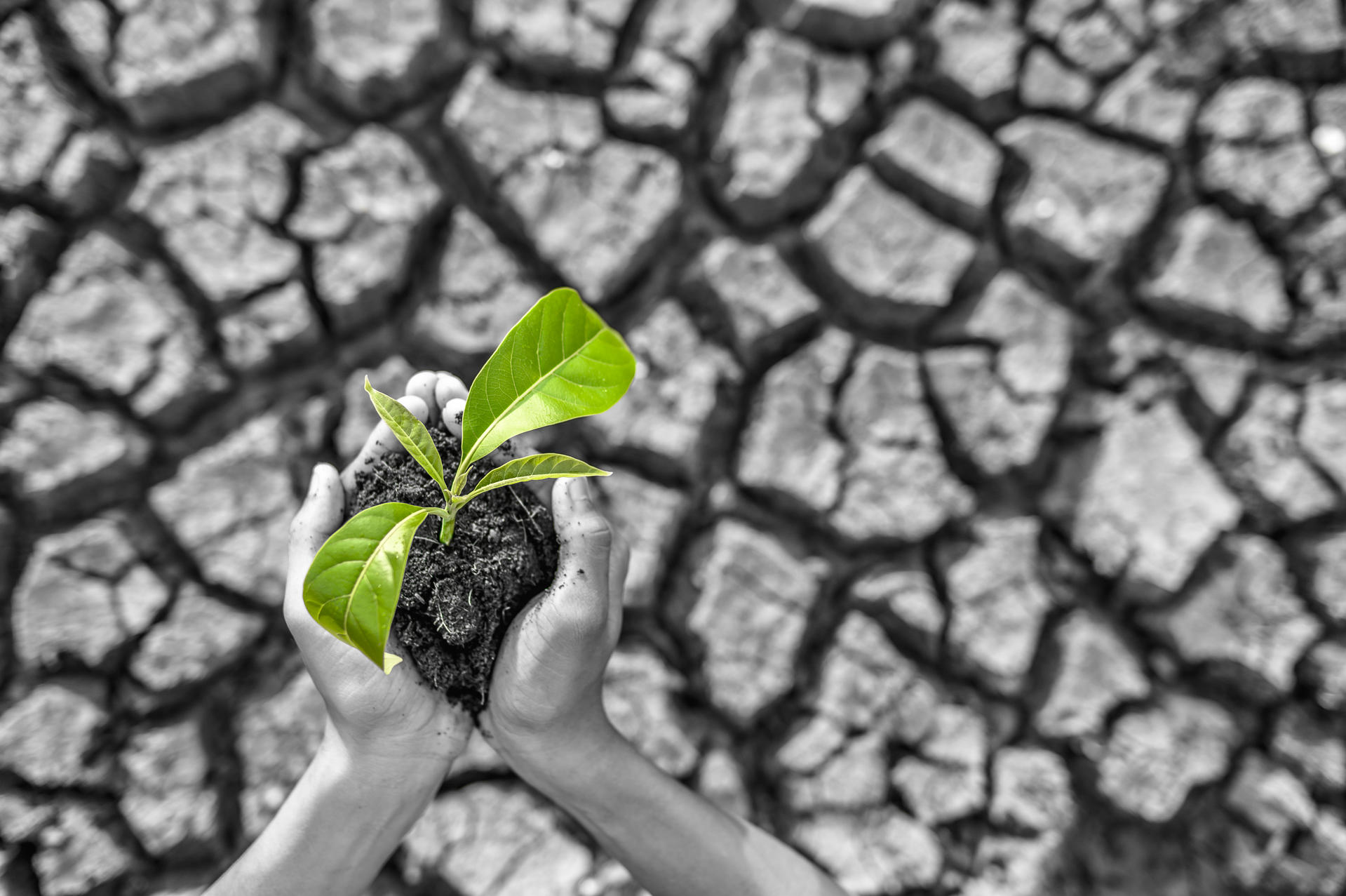 Sustainable manufacturing and responsible production